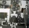 annmarieandrichardditarantocelebratea60schristmas_small.jpg